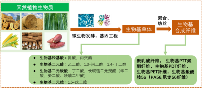 必一运动科技