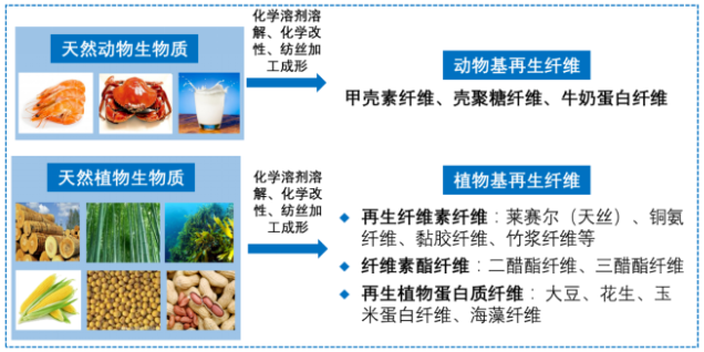 必一运动科技
