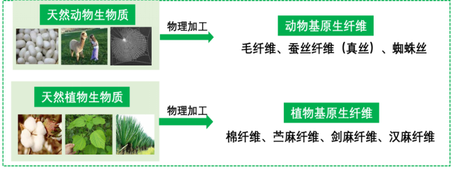 必一运动科技