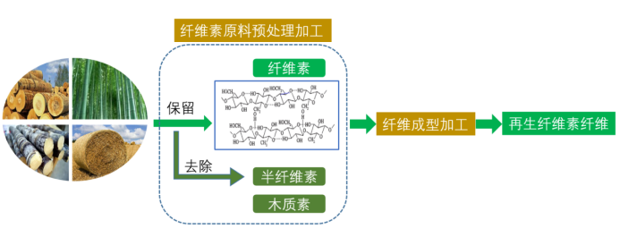 必一运动科技