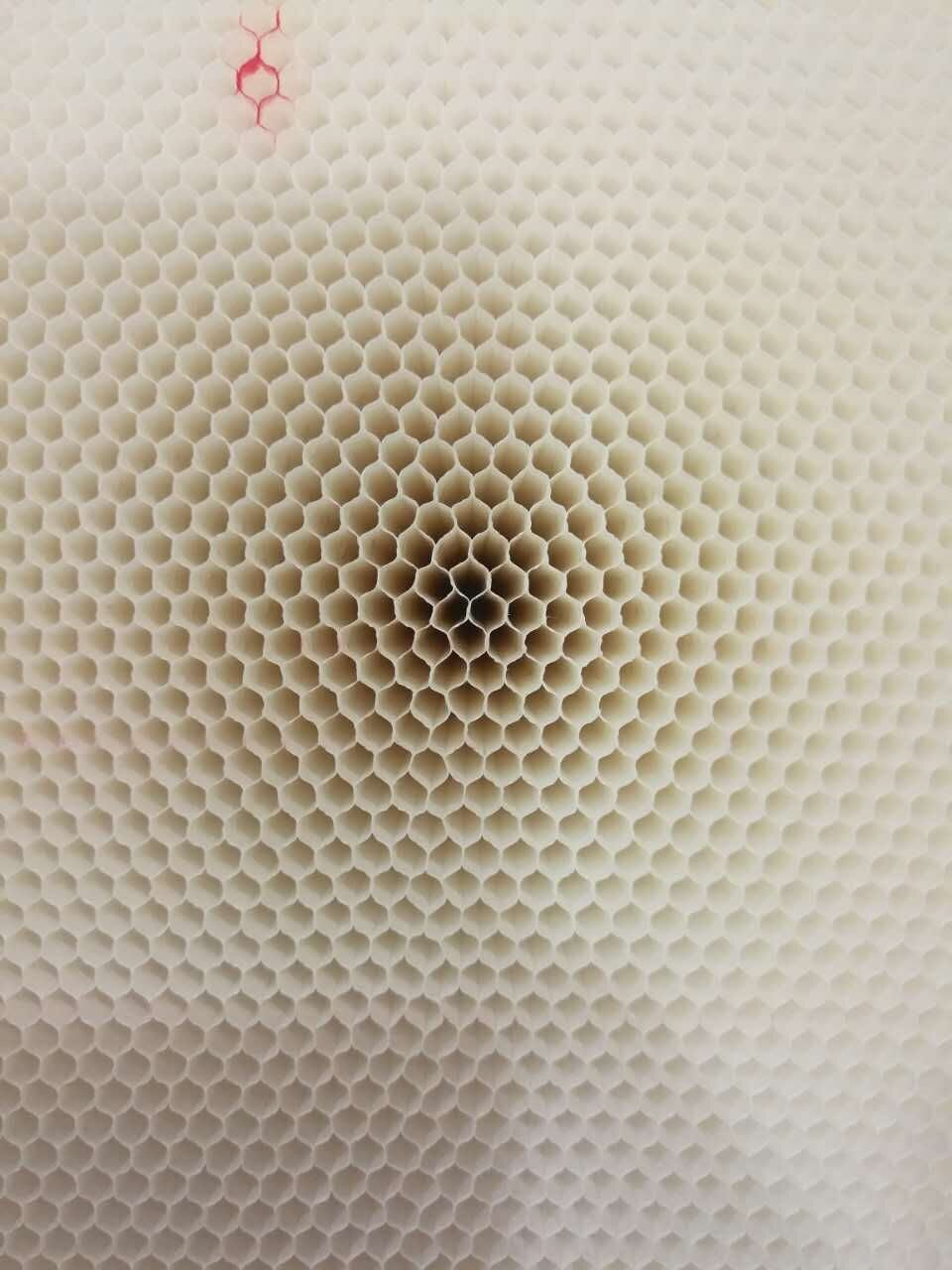 必一运动科技