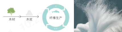 必一运动科技